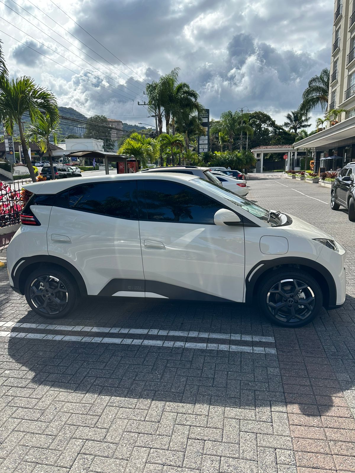 BYD Tang EV thumbnail 3